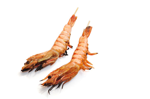 Y9.Gambas